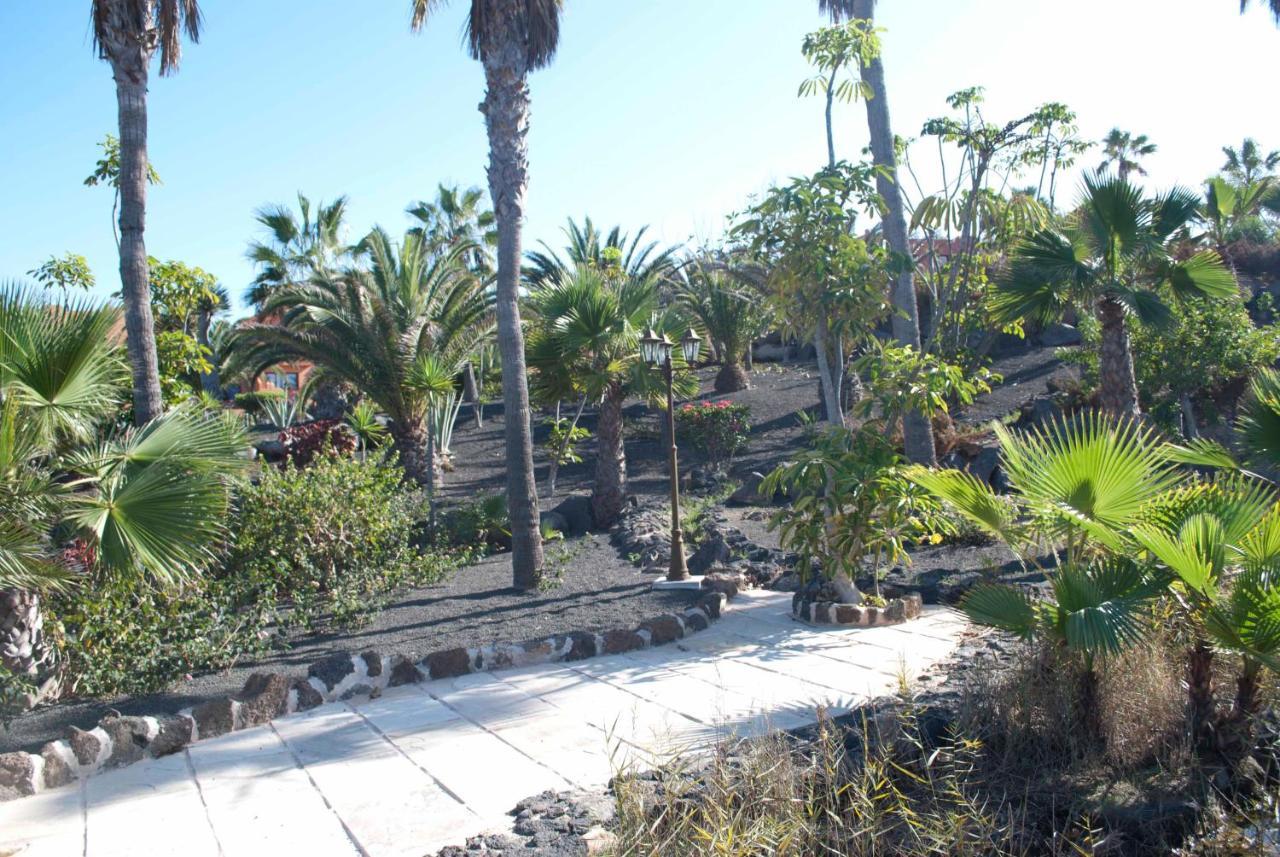 Oasis Royal 3 Piscinas Lägenhet Corralejo Exteriör bild