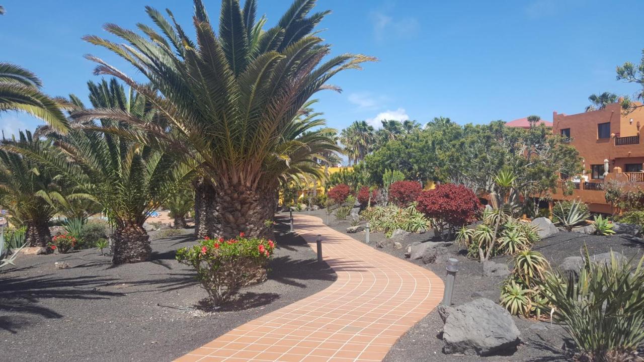 Oasis Royal 3 Piscinas Lägenhet Corralejo Exteriör bild