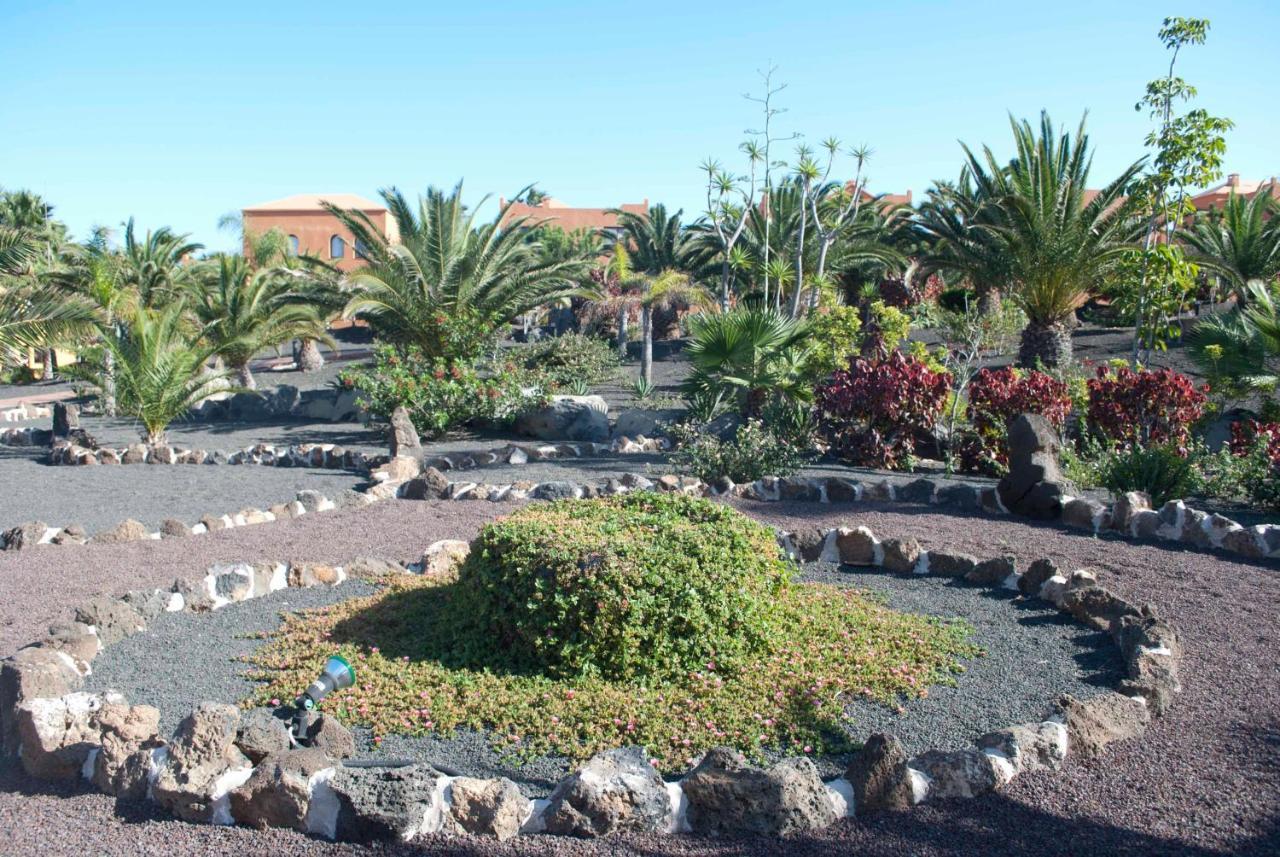 Oasis Royal 3 Piscinas Lägenhet Corralejo Exteriör bild