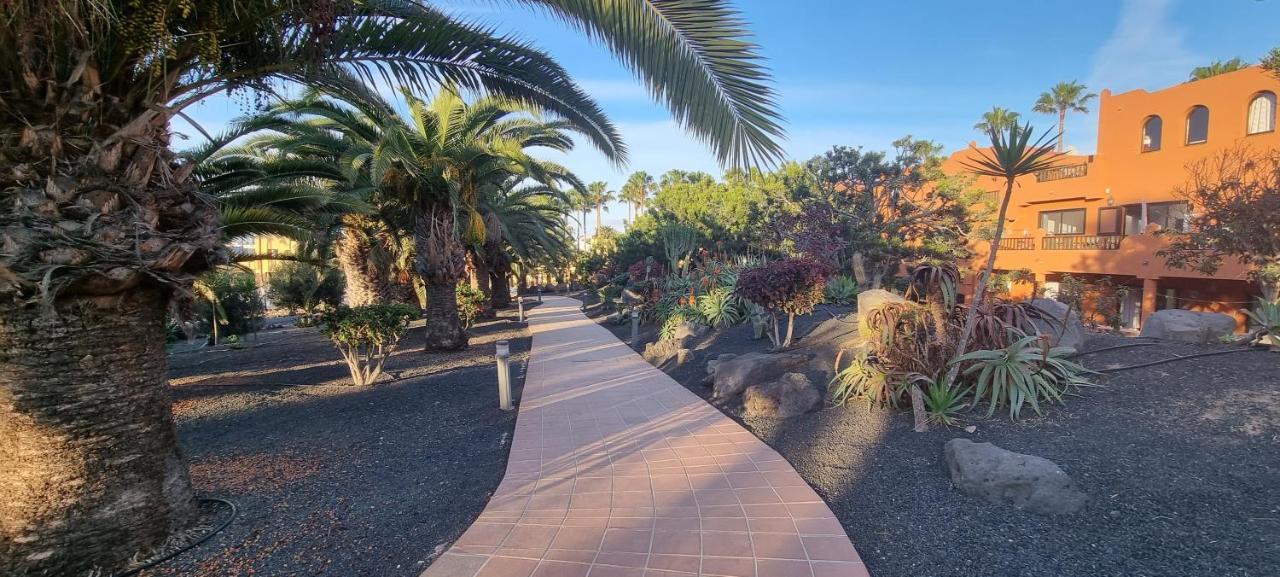 Oasis Royal 3 Piscinas Lägenhet Corralejo Exteriör bild