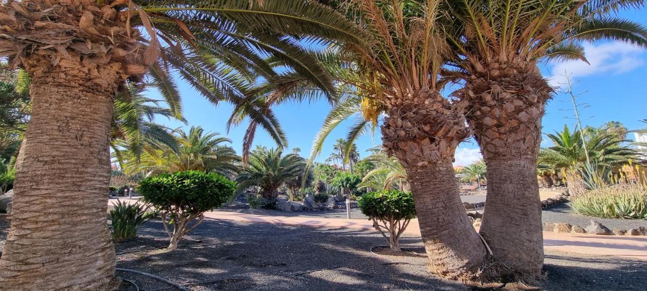 Oasis Royal 3 Piscinas Lägenhet Corralejo Exteriör bild